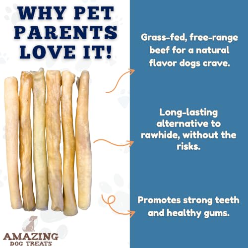 Large Collagen Stick