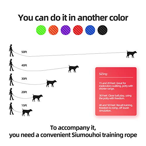 Dog Puppy Obedience Recall Training Agility Lead (Black / 30 Feet)
