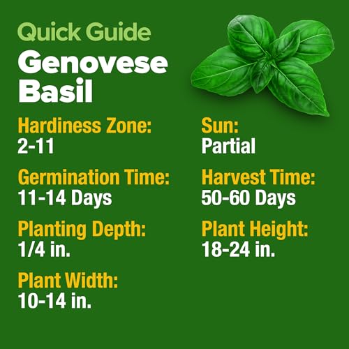 Genovese Basil Seeds