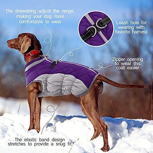 Dog Coat for Large Dogs (Purple / XXL(chest:35in))