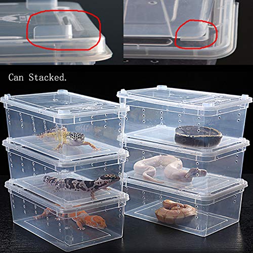 2 PCS Reptile Feeding Box Lizard Tarantula Habitat Cage Hatching Container