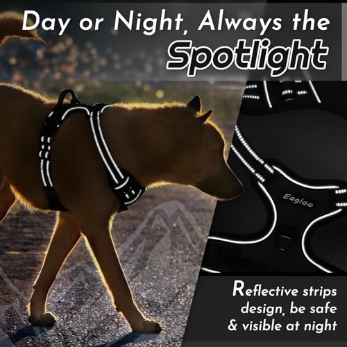 Dog Harness for Small Dogs (Small / Black)