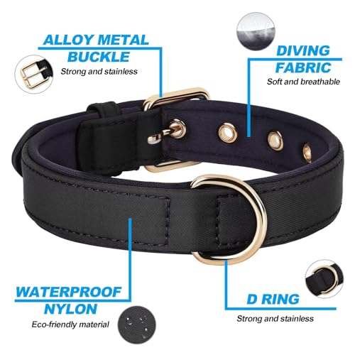 Soft Padded Dog Collars for Small Dogs (Black / M: Fit 11-15" Neck)