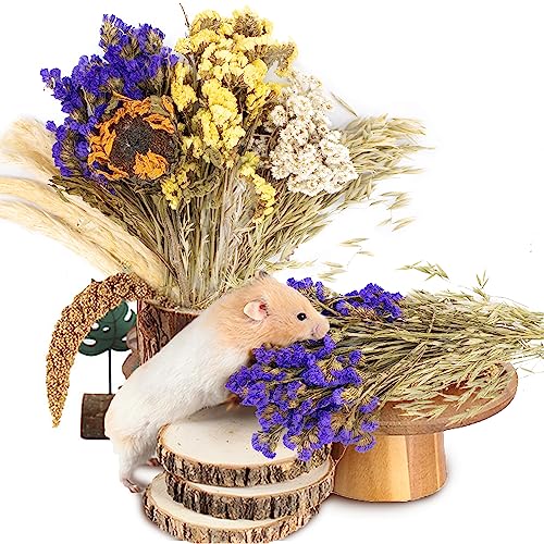 Natural Ear of Grain Flower&Herb Bedding Mate Habitat Decor (Flower Style)