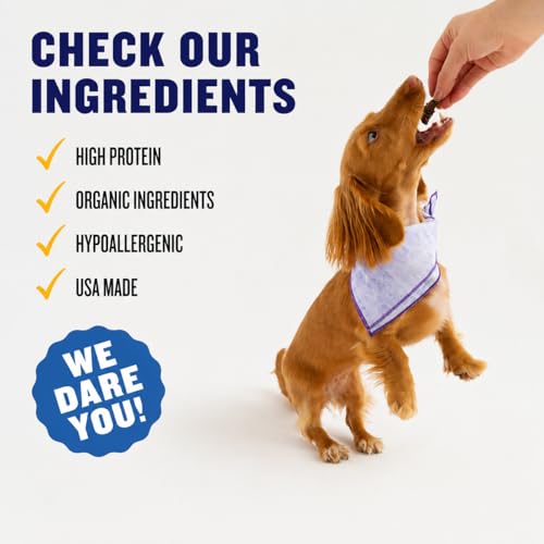 Winnie Lou Turmeric Bison Jerky Dog Treats (2.5 Ounce (Pack of 1))