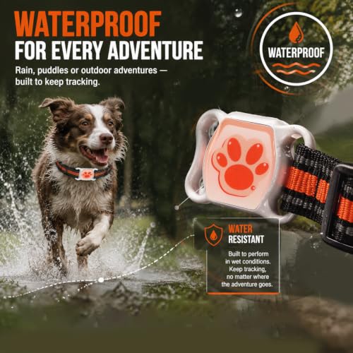 GPS Tracker for Dogs