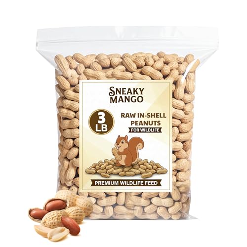 Peanuts in Shell (3 Pound (Pack of 1))