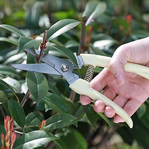 garden scissors (Ivory White)