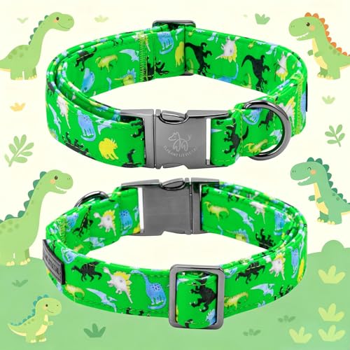 Boy Dog Collar (Green Dinosaur / Small (Pack of 1))