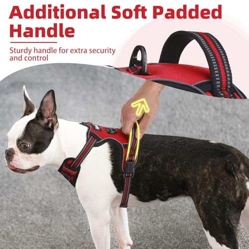No Pull Dog Harness for Large (Red / X-Large)