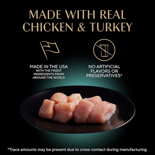 Perfect Portions Pate Wet Cat Food (12 Count (Pack of 2))
