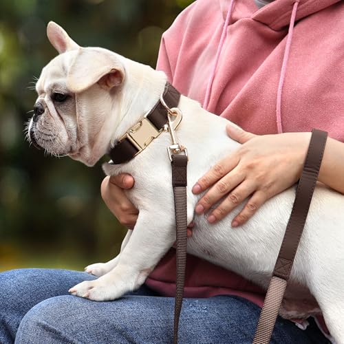 Soft PU Leather Dog Collar (S: Fit 9-14" Neck(10-20 lbs) / Brown)
