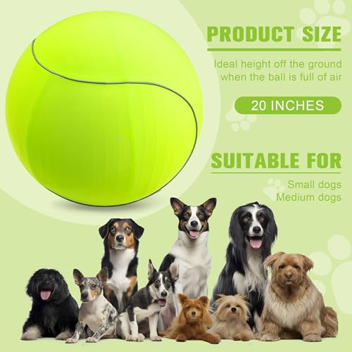 20" Herding Ball for Dogs & Horses with Green Nylon Cover (20 inches)