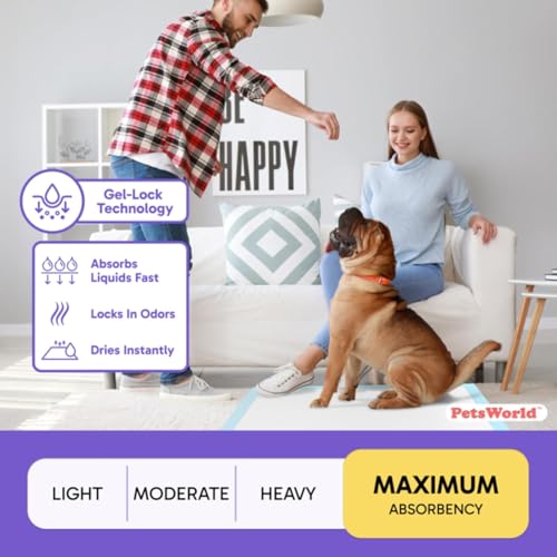 Giant Dog Potty Pads (36x36 Unscented / 600 Count)