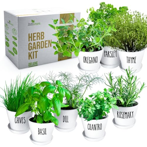 Herb Garden Starter Kit (8 Herb)