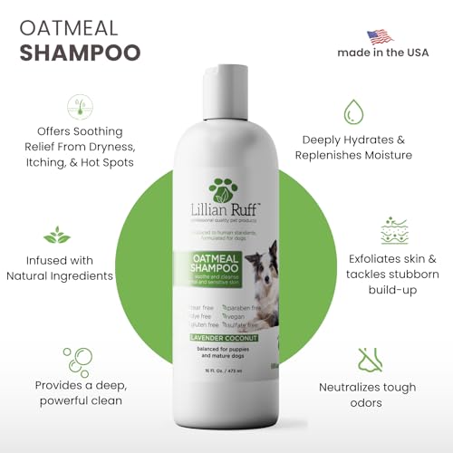PRO Formula Deodorizing Oatmeal Dog Shampoo