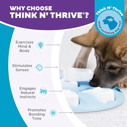 Nina Ottosson Puppy Tornado Dog Puzzle Interactive Treat Puzzle Dog Enrichment Dog Toy for Puppies (Puppy Smart (Light Blue) / 1 Count (Pack of 1))