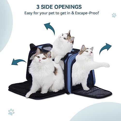 Pet Carrier Blue (Medium / Blue)