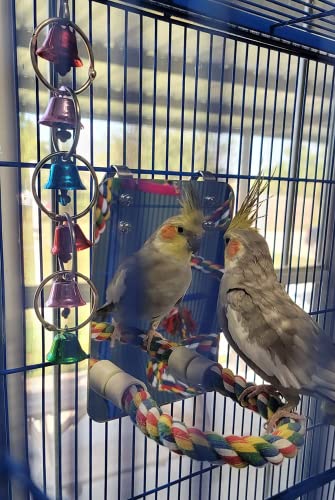 7" Bird Mirror with Rope Perch Bird Toys Swing (7 inch)