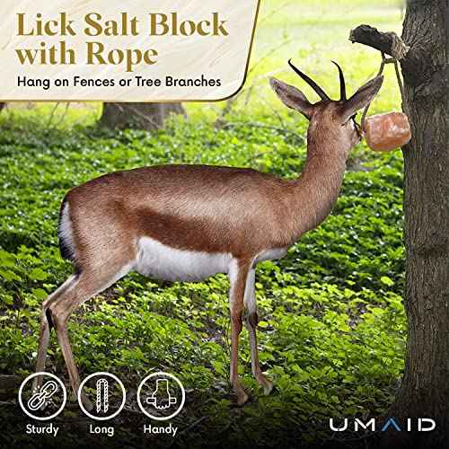 Himalayan Salt Lick 6 lbs On Rope for Horse (6 Pound (Pack of 1))