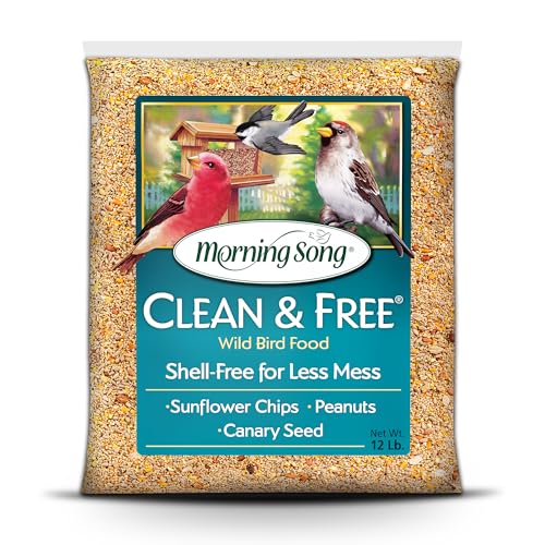Clean & Free No Mess Wild Bird Seed (12 Pounds (No Mess))