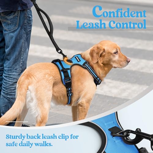 Dog Harness No Pull for Small Dogs with 2 Leash Clips (Small / Blue)