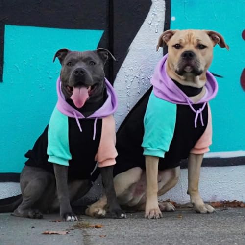 Dog Hoodie Buttery (Cyber Punk / 5XL)