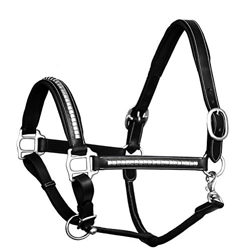 Exion Leather Horse Halter with Padded Crown & Steel Clincher Studs (Black / Warm Blood (Over Size))