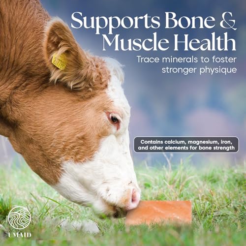 Himalayan Salt Block (5 Pound (Pack of 2))