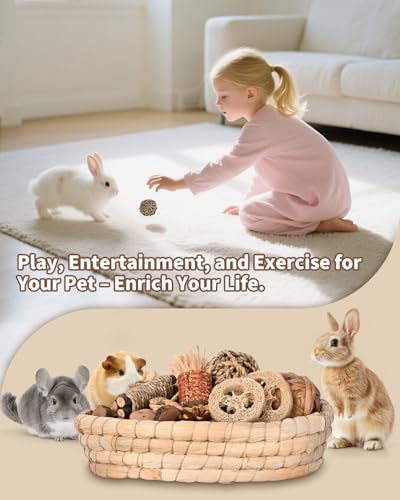 31PCS Rabbit Chew Treat Toys for Teeth Health (Chew Toys Set A)