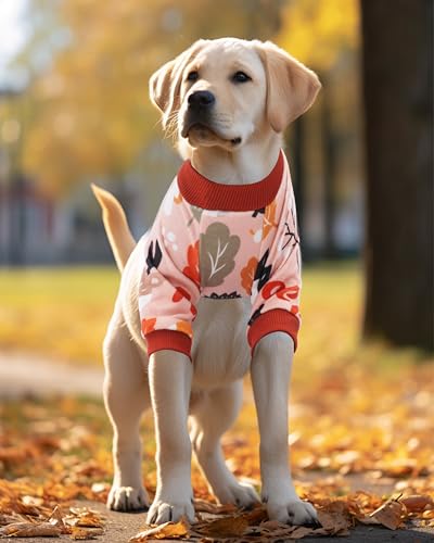 4 Pack Fall Velvet Dog Pajamas for Large Dogs (X-Large)