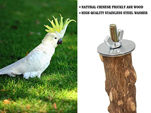 Large Natural Pepper Wood Parrot Stand Branch