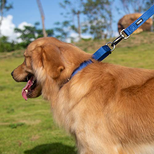 Martingale Collar for Dogs Large Blue (Large / Classic blue)