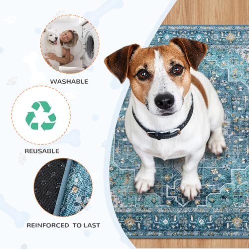 Reusable Washable Puppy Pads (Blue / 3FT x 4FT (Pack of 2))