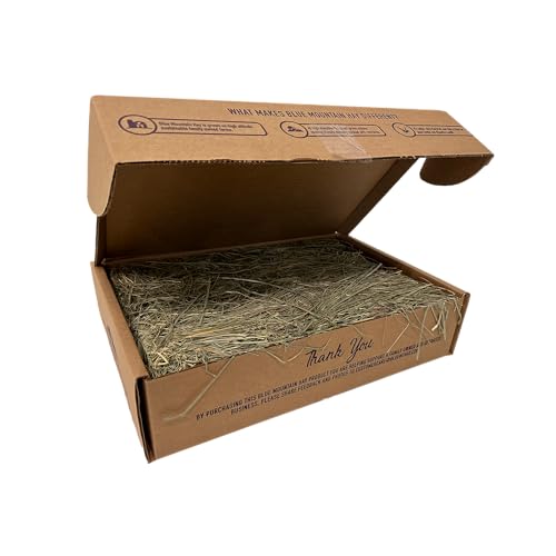Orchard Grass Hay for Small Pets (15 Ounce (Pack of 1))
