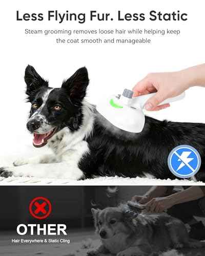 Pet Steam Brush Dog Cat 2026 New Grooming Comb for Shedding (Gray / 240ML)