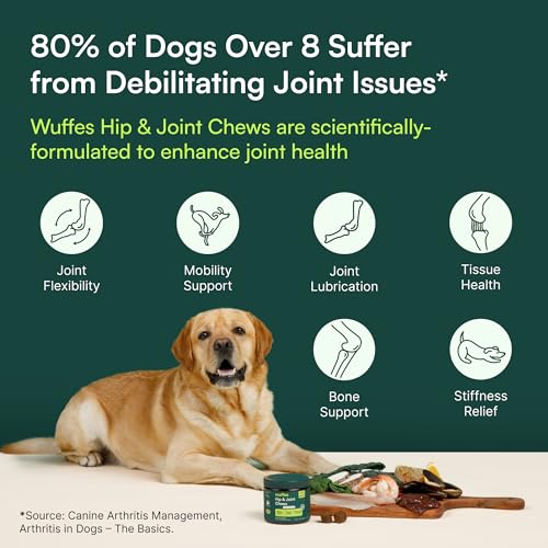 Advanced Hip & Joint Chews for Large Breed Dogs (Pack of 1)