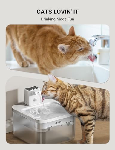 Cat Water Fountain Cordless (ABS White+Standard Filters / Standard)