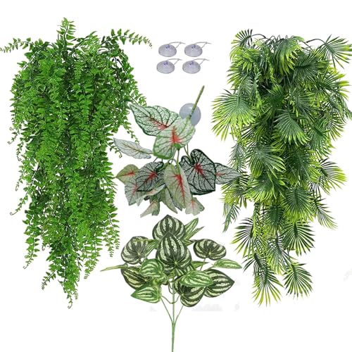 Reptile Plants for Bearded Dragon Tank Accessories (Group Abn)
