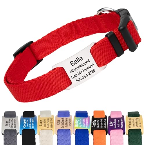 Dog Collar with Personalized Nameplate (Classic / Large (Pack of 1))