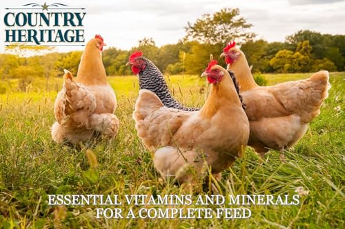Country Heritage 50LB Chicken Layer Crumble 16% Protein (Layer Crumble / 50 Pound (Pack of 1))