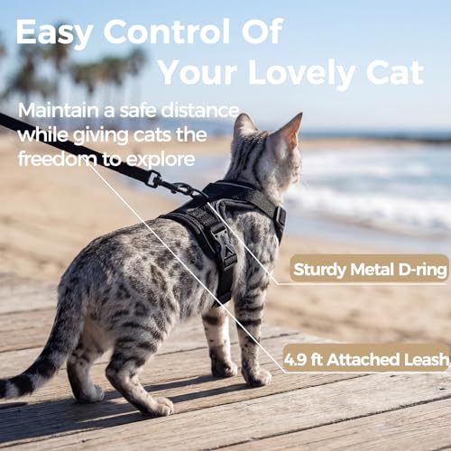 Cat Harness and Leash Set (Black / XX-Large)