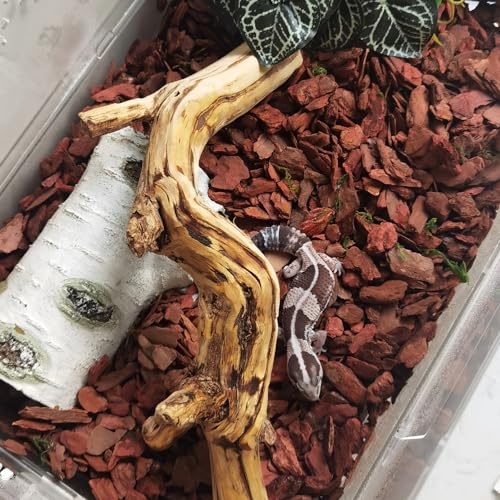 Reptile Cork Bark Substrate Bedding Tortoise Natural Cork Wood Chips Reptile Breeding Bedding Habitat Decor for Ball Python Lizard Snake Spiders Geckos Bearded Dragons Hermit Crabs （0.99LB）