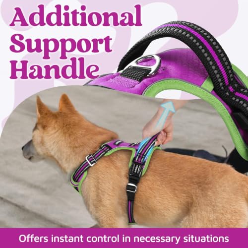 Dog Harness Medium Sized (Purple & Light Green / Medium)