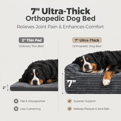 Orthopedic Dog Bed for Large Dogs (Corduroy Cover Grey / XX-Large)