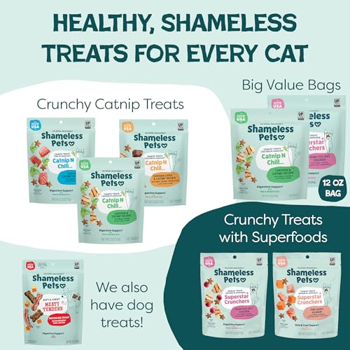 Catnip N Chill Chicken Liver Crunchy Cat Treats (2.5 Ounce (Pack of 1))