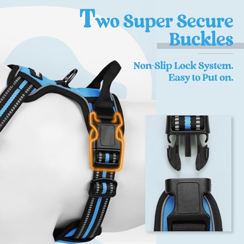 Dog Harness No Pull for Small Dogs with 2 Leash Clips (Small / Blue)
