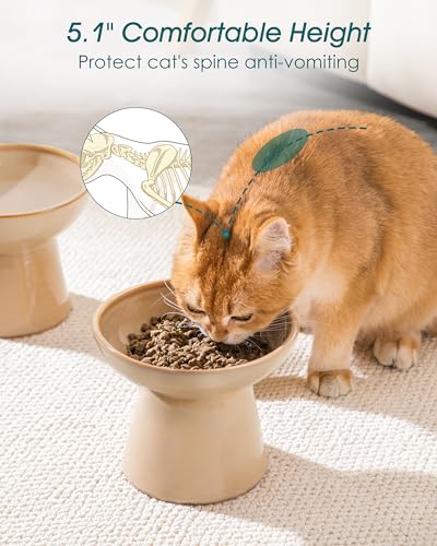 2 Pack Extra Wide Elevated Cat Bowls (Brown)