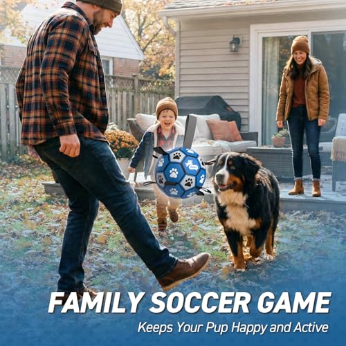 Extra Large Dog Toy Soccer Ball (Blue Gray / Extra Large Size 5 (9 Inch))