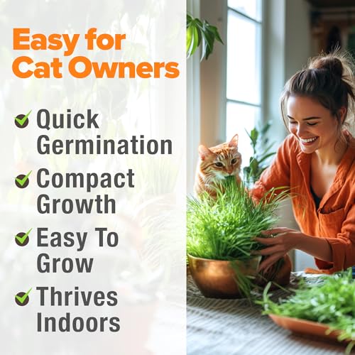 Indoor Cat Grass Refill 3